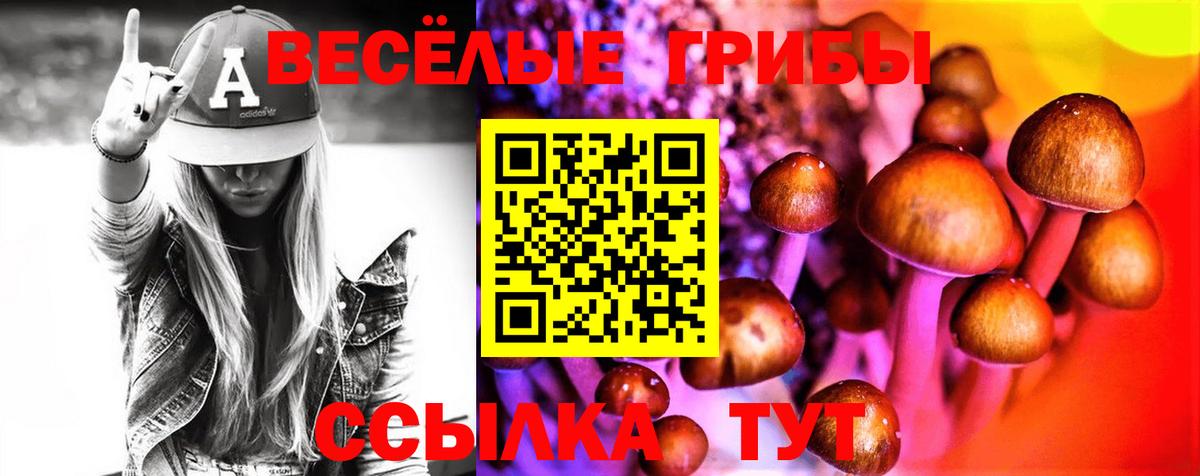 Псилоцибиновые грибы MAGIC MUSHROOMS  Вход с VPN  Псилоцибиновые грибы прущие грибы  Нефтекамск 